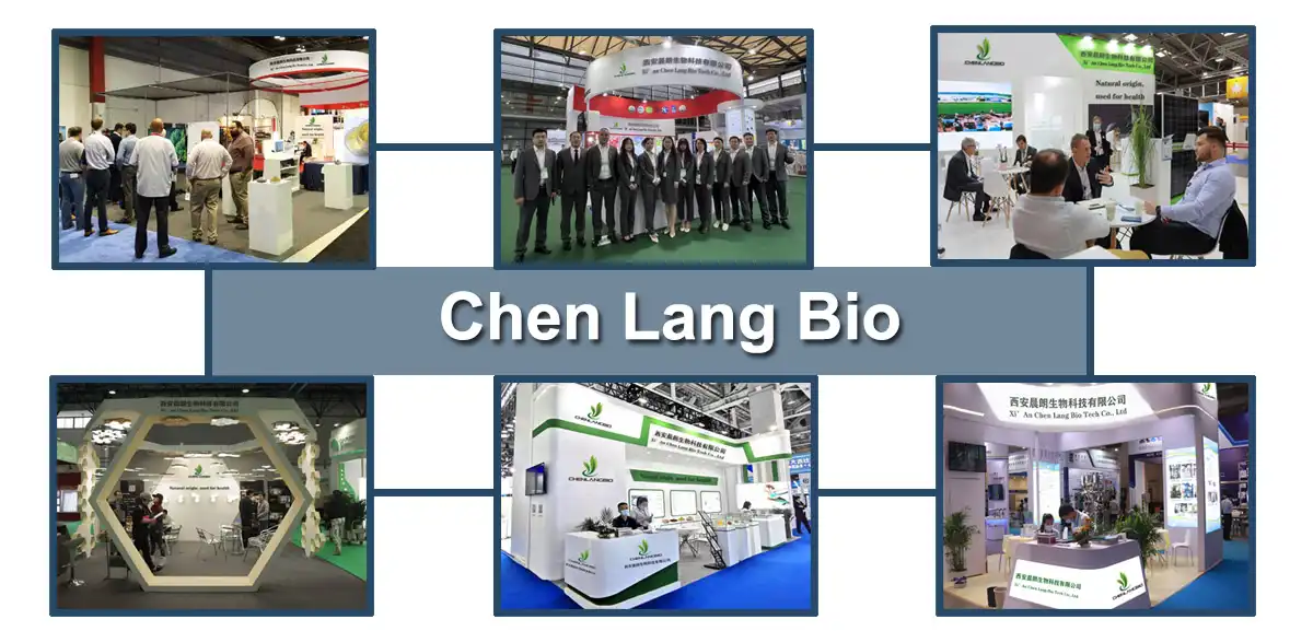 Exhibition CL.jpg